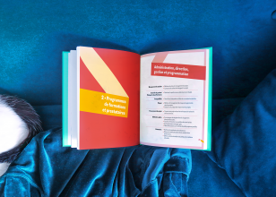Institut français